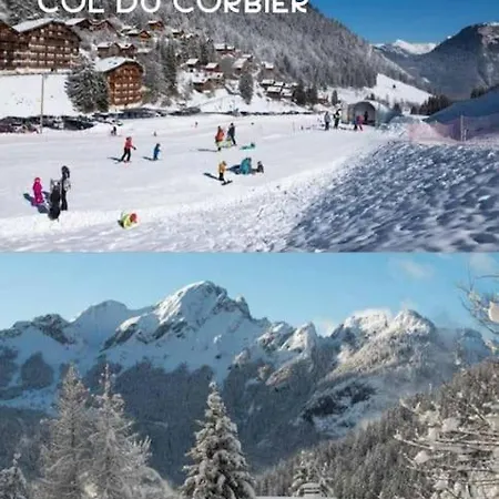 Portes Du Soleil A Avec Menage Et Wifi Inclus Apartment Le Biot