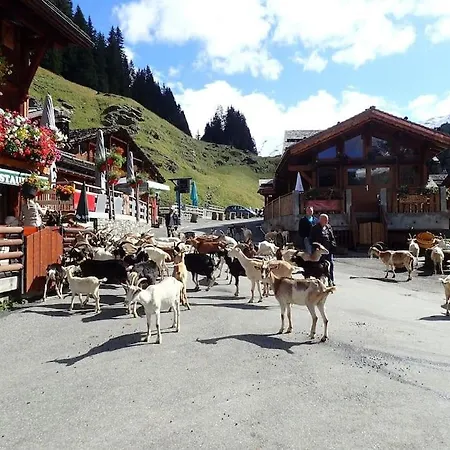 Portes Du Soleil A Avec Menage Et Wifi Inclus * Le Biot